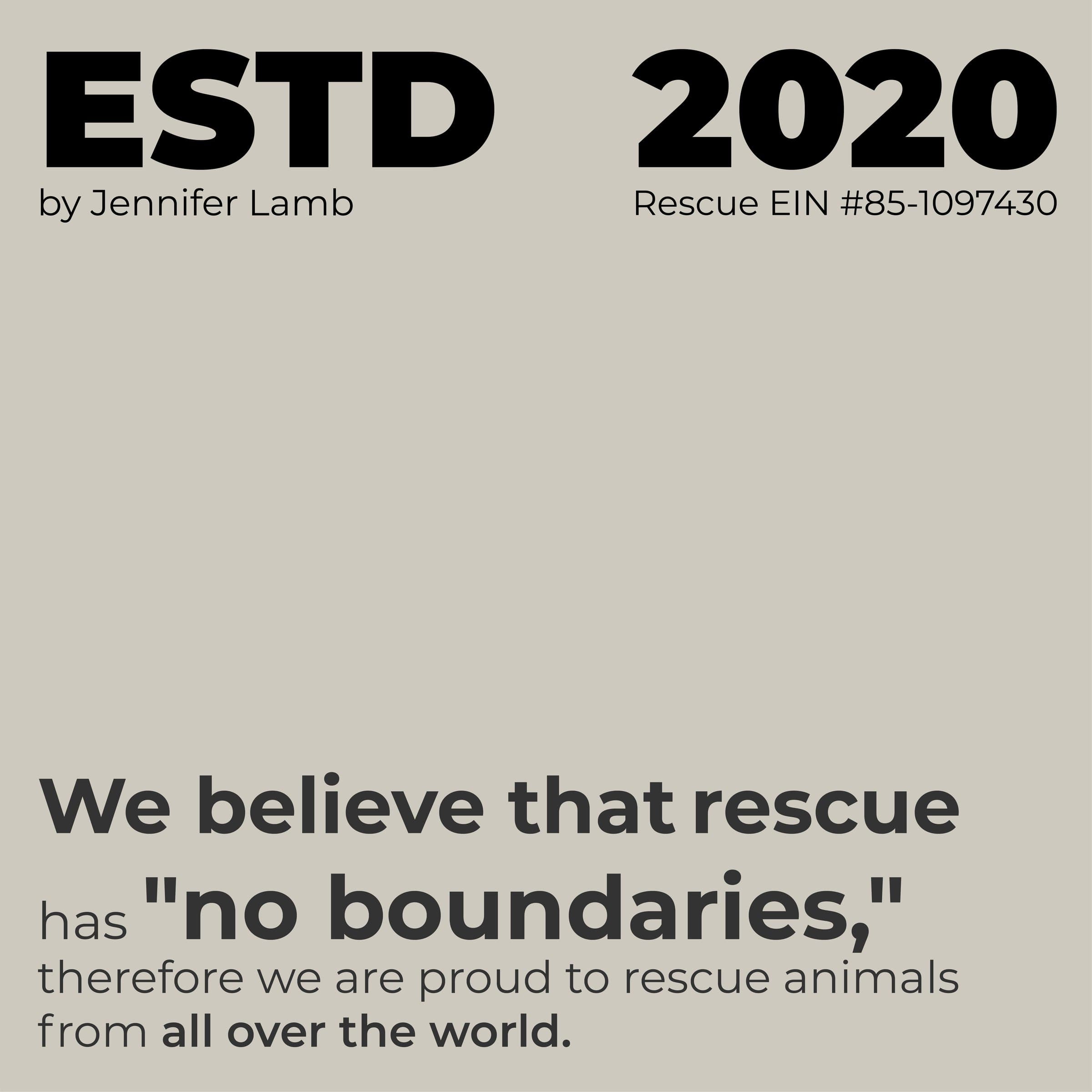 Typographic slide — ESTD 2020, 'rescue has no boundaries'